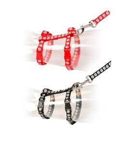 Grote kat wandelset pootjes