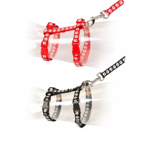 Grote kat wandelset pootjes