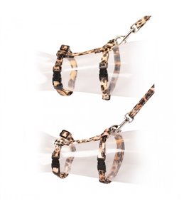 Kat wandelset luipaard