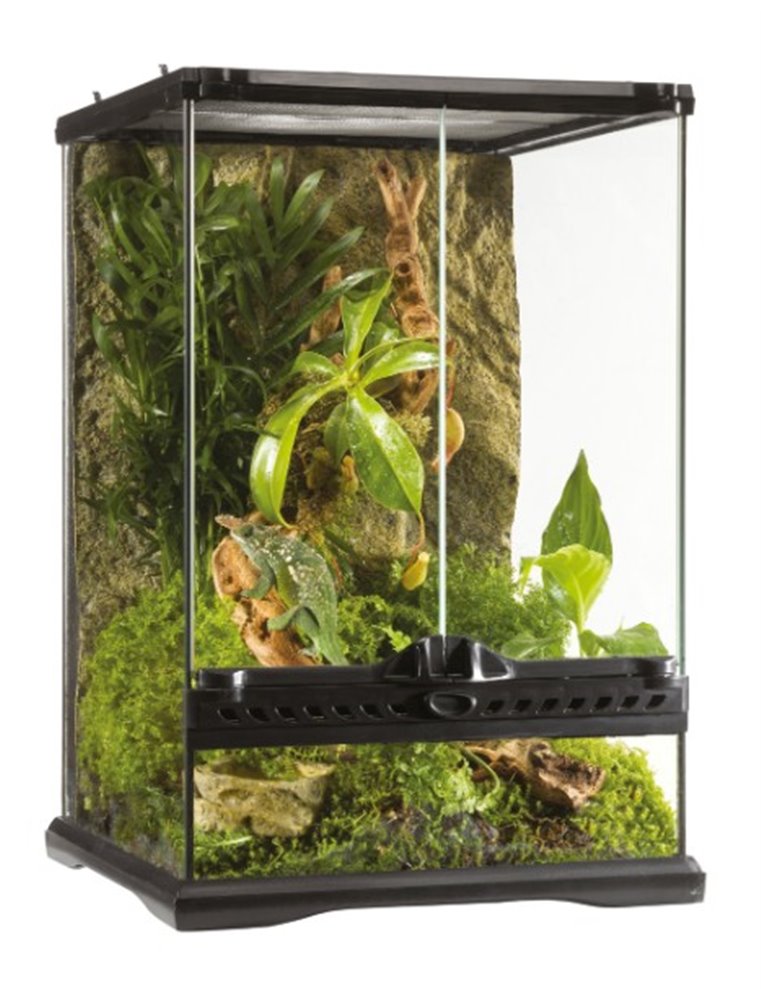 Ex glas terrarium incl achterwand