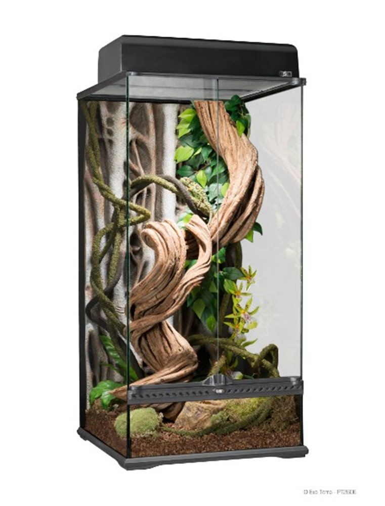 Ex rainforest terrarium small x-tall