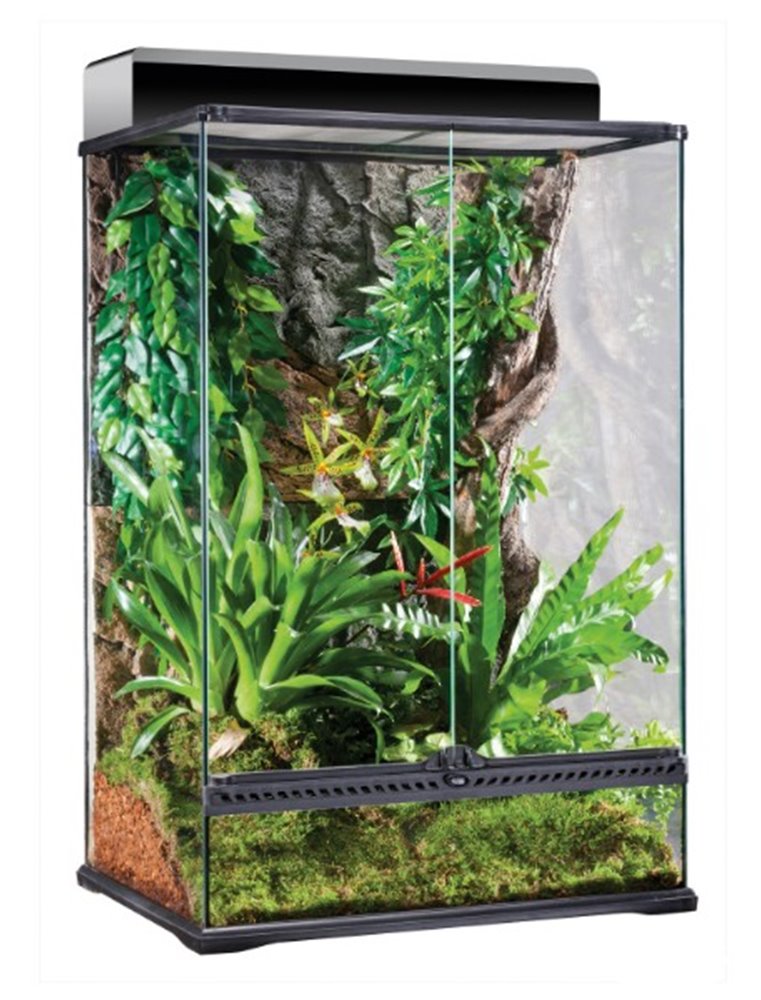 Ex glas terrarium incl achterwand