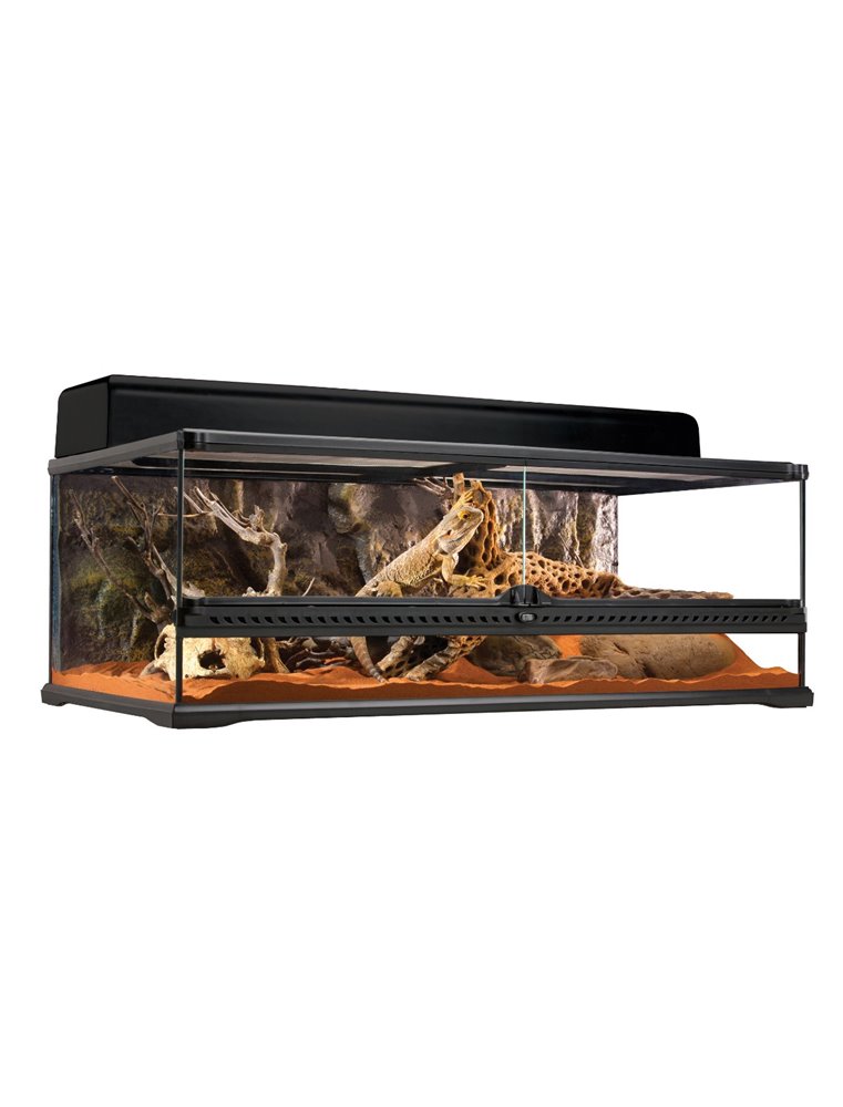 Ex glas terrarium incl achterwand