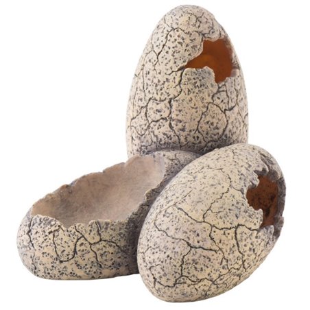 Exo Terra Dinosaurus Eieren en Drinkschaal