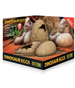 Ex dinosaurus eieren
