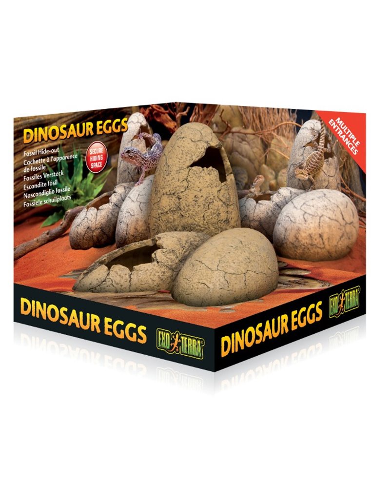 Ex dinosaurus eieren