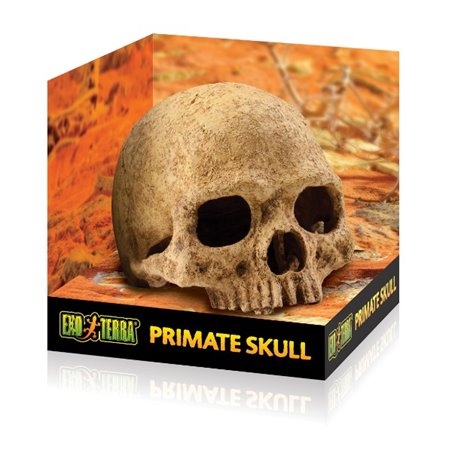 Exo Terra Primate Skull Schuilplaats - Terrarium Decoratie - 11 x 21 x 14 cm
