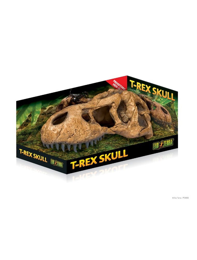 Ex t-rex skull fossiele schuilplaats