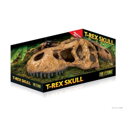 Exo Terra t-rex skull fossiele schuilplaats