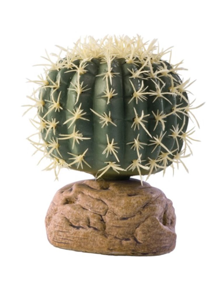 Ex cylinder cactus