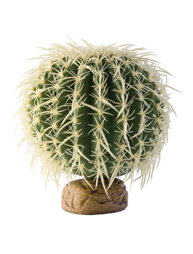 Ex cylinder cactus