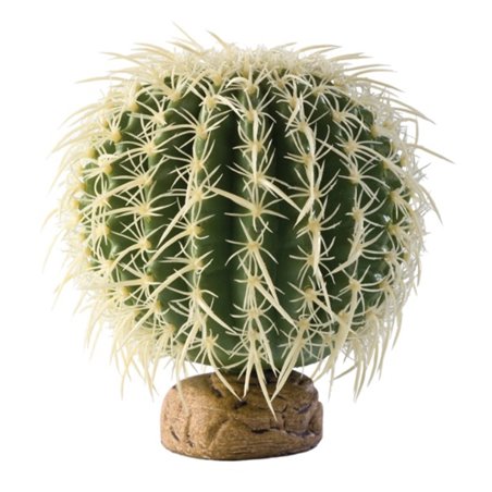 Ex cylinder cactus