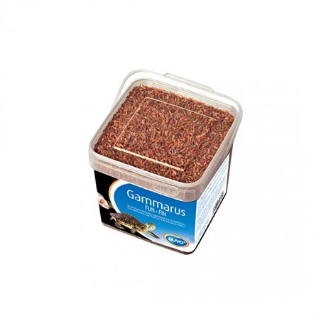 Gammarus emmer fijn