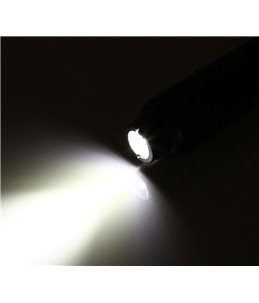 Schouwlampje (Ovoskoop) 220V