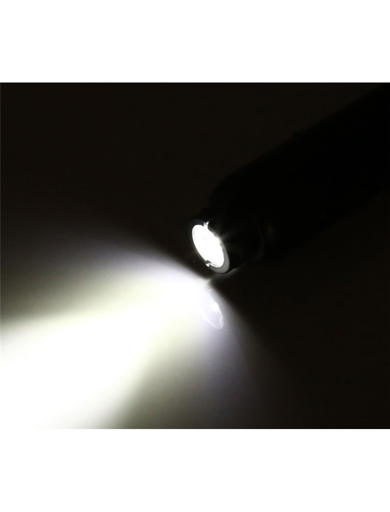 Schouwlampje (Ovoskoop) 220V