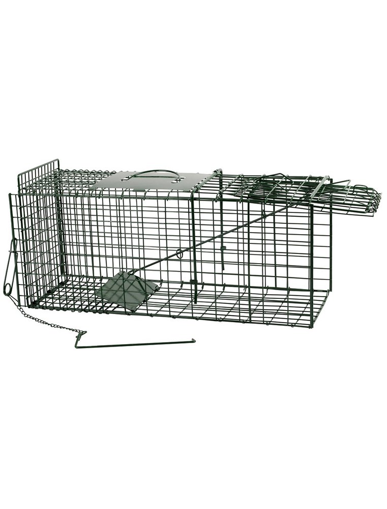 Vangkooi klein model poedercoating/groen