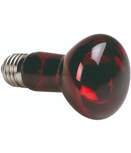 Zoo med infrarood spot 50w