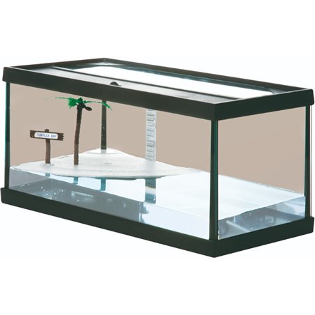 Schildpadbak turtles bay 60cm