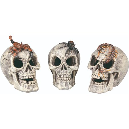 Terr. decoratie schedel - ass 