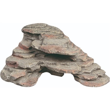 Schildpadrots tortuga 