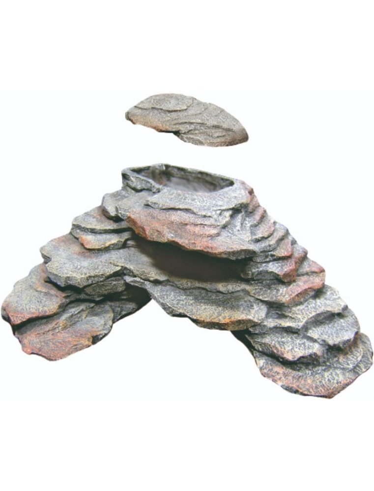 Schildpadrots tortuga