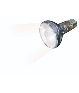 Warmtespot sunlight beam - 75w