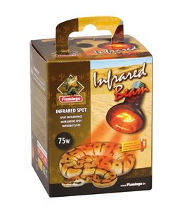 Infrarood spot infrared beam - 75w