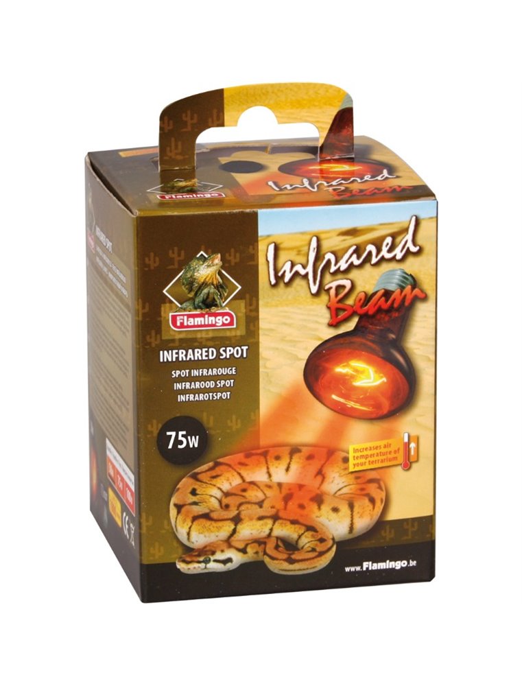 Infrarood spot infrared beam - 75w