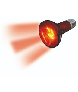 Infrarood spot infrared beam - 75w