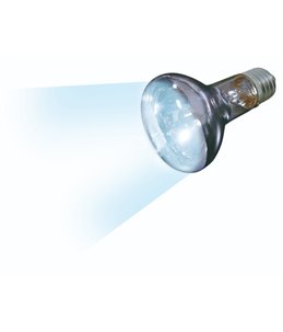 Daglichtspot daylight beam - 75w