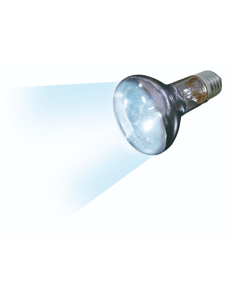 Daglichtspot daylight beam - 75w