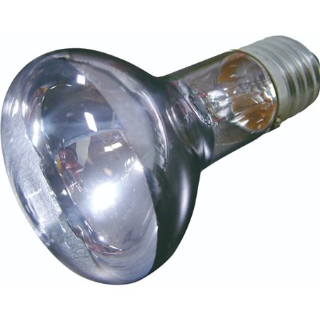 Daglichtspot daylight beam - 100w 