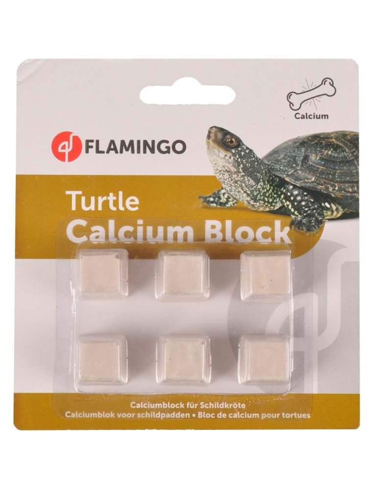 Calcium blok schildpad