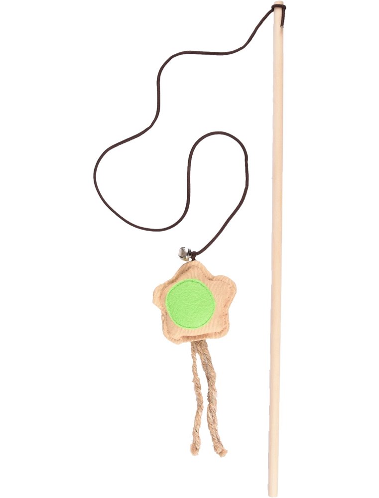 Cat tangler nature flower