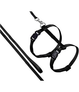 Asp kattentuig+lijn zwart 110cm