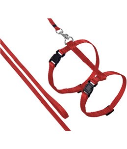 Asp kattentuig+lijn rood 110cm 