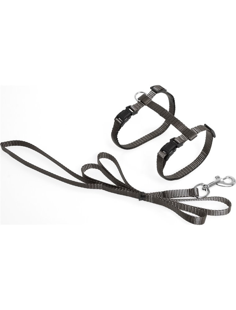 Asp kattentuig+lijn grijs 110cm