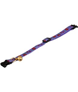 Asp kattenhalsb bloem blauw 30cm 