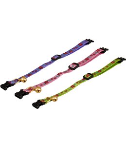 Asp kattenhalsb bloem blauw 30cm