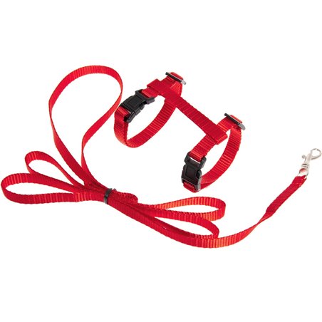 Asp kittentuig+lijn rood 120cm10mm 