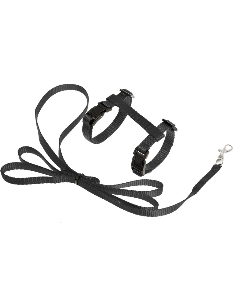 Asp kittentuig+lijn zwart 120cm10mm