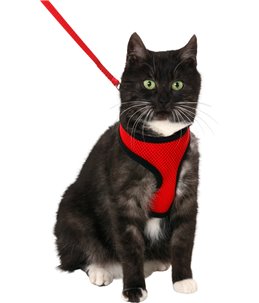 Harms kattentuig set rd/zw110cm10mm