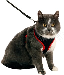 Harms kattentuig set zw/rd120cm15mm