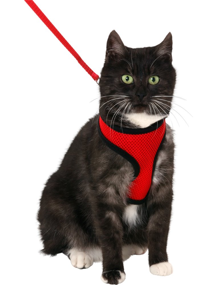 Harms kattentuig set rd/zw120cm15mm