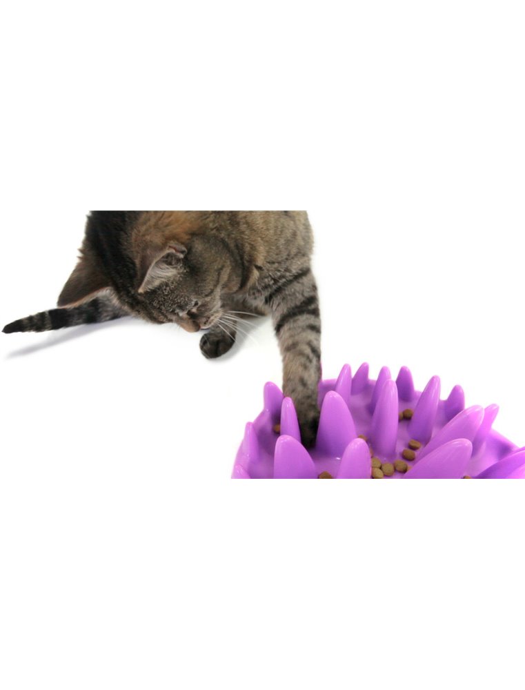 Northmate« catch 27x23x8cm paars