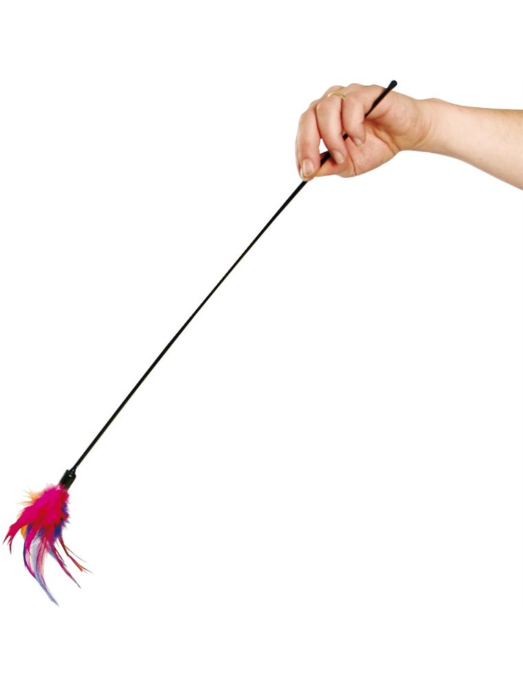 Verenstick displ box