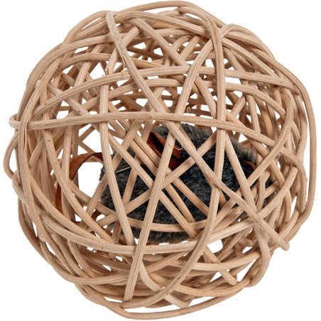 Wilgenbal met geluidschip d10cm 