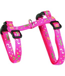 Poezentuigje+looplijn party 25/35cm