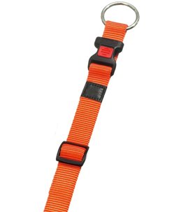 Halsband asp oranje 45-65cm 25mm 