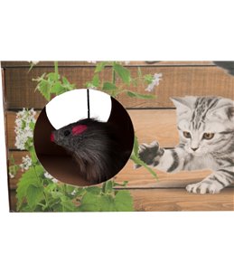 Krabkarton 50x21x32cm